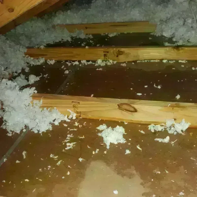 Attic Water Damage in Iroquois Point, HI